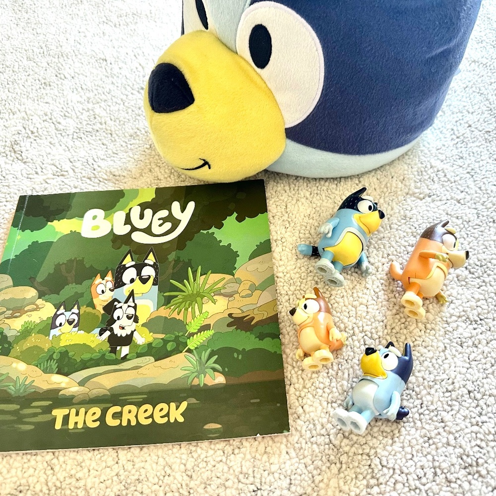 Bluey Bundle Toys, Book & Basket